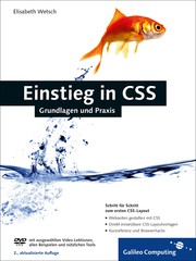 Cover of: Einstieg in CSS: Grundlagen und Praxis