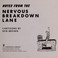 Cover of: Notes from the nervous breakdown lane