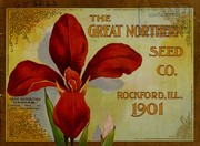 Cover of: [Catalog of] the Great Northern Seed Co., 1901