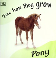 Pony