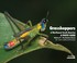 Cover of: Grasshoppers of Northwest South America, A Photo Guide