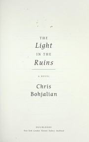 Cover of: The light in the ruins: a novel