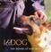 Cover of: I & Dog