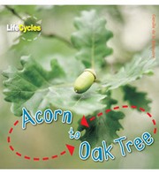 Cover of: Acorn to Oak Tree by 