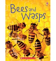 Cover of: Bees and Wasps by 