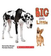 Cover of: Big and Little
