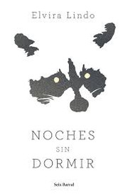 Cover of: Noches sin dormir