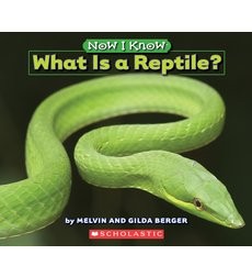 Cover of What Is a Reptile?