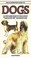 Cover of: An illustrated guide to dogs