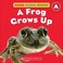 Cover of: A Frog Grows Up