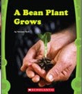 Cover of: A Bean Plant Grows by 