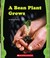 Cover of: A Bean Plant Grows