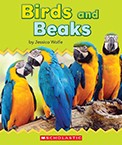 Cover of: Birds and Beaks by 