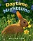Cover of: Daytime Nighttime