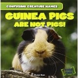Cover of: Guinea Pigs Are Not Pigs! by 
