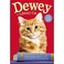 Cover of: Dewey the library cat