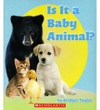 Cover of: Is It a Baby Animal?