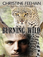 Burning Wild by Christine Feehan, Jeff Cummings