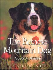 Cover of: The Bernese Mountain Dog: A Dog of Destiny