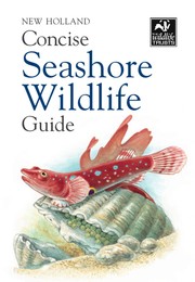 Cover of: Concise Seashore Wildlife Guide
