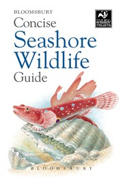 Cover of: Concise Seashore Wildlife Guide