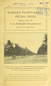 Budded paper-shell pecan trees by T.H. Parker (Firm)
