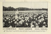 Cover of: Season 1915-1916 by J.F. Rosenfield Peony Gardens