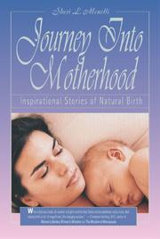 Cover of: Journey into Motherhood: Inspirational Stories of Natural Birth