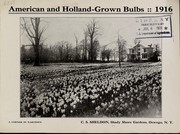 Cover of: American and Holland-grown bulbs: 1916 [price list]