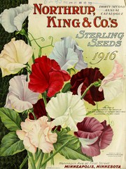 Cover of: Northrup, King & Co.'s thirty-second annual catalogue [of] sterling seeds: 1916