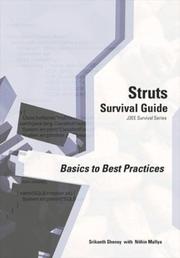 Cover of: Struts Survival Guide: Basics to Best Practices (J2ee Survival Series)