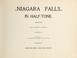 Cover of: Niagara Falls in half-tone