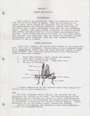 Cover of: Agricultural insect pest training manual