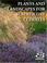 Cover of: Plants And Landscapes For Summer-dry Climates