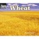 Cover of: Wheat