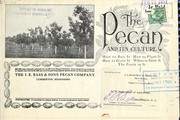 Cover of: The pecan and its culture: how to buy it, how to plant it, how to grow it, where to grow it, the profit in it