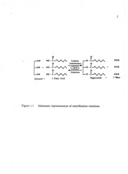 Cover of: Enzymatic reactions in microemulsions and monolayers