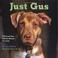 Cover of: Just Gus