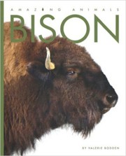 Bison by Valerie Bodden