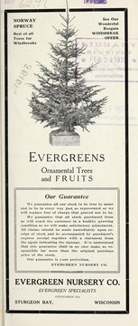 Cover of: Evergreens by Evergreen Nursery Co