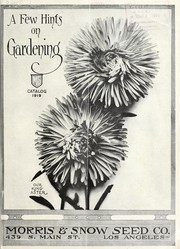 Cover of: A few hints on gardening: catalog 1919