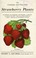 Cover of: Catalogue and price list of strawberry plants, raspberry, blackberry, gooseberry, currant and grape plants, fruit and ornamental trees, shrubs and flowering plants