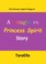 Cover of: The Princess's Spirit Trilogy #1: A Noughties Princess Spirit Story