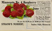 Cover of: Minnesota no. 4 raspberry: our popular [fruit] collections