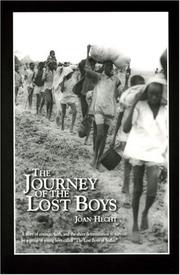 Cover of: The journey of the lost boys