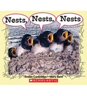 Cover of: Nests, Nests, Nests. by 