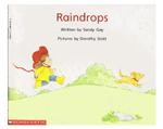 Cover of: RAINDROPS by SANDY GAY