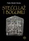 Cover of: Stecci, laz i bogumili