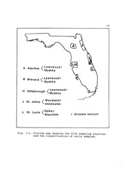 Cover of: Nature of cementing materials in ortstein horizons of selected Florida spodosols