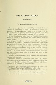 Cover of: The Atlantic palolo